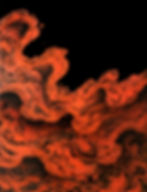 Landscape 1.5