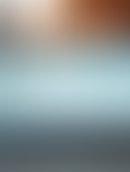 business dashboard on computer