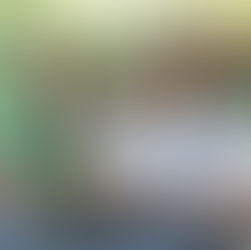 MINNECHAUG TREE CO...PLUS, NEW TO GLASTONBURY: IVX HEALTH AND NYAM BAKERY