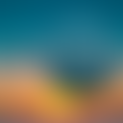 ICYMI: SUMMER SCOOP RECAP