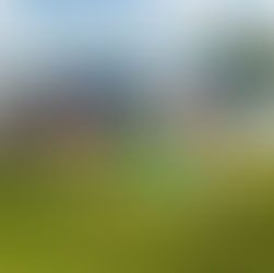 STUMPY'S HATCHET HOUSE FOR YOUR NEXT EVENT...LIMELIFE'S MARY KAY DUFFY-KEMPER'S INCREDIBLE STORY