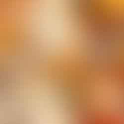 Feminism and a Fight Gone Wrong