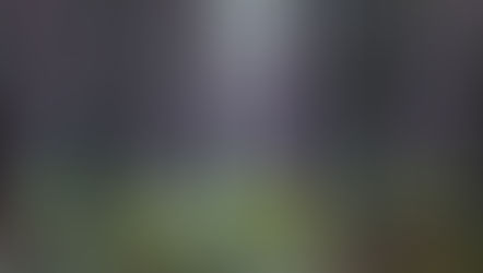 The Relocation of a Lifetime