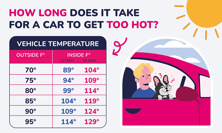 how-hot-is-too-hot-to-leave-pets-in-car-infographic.png