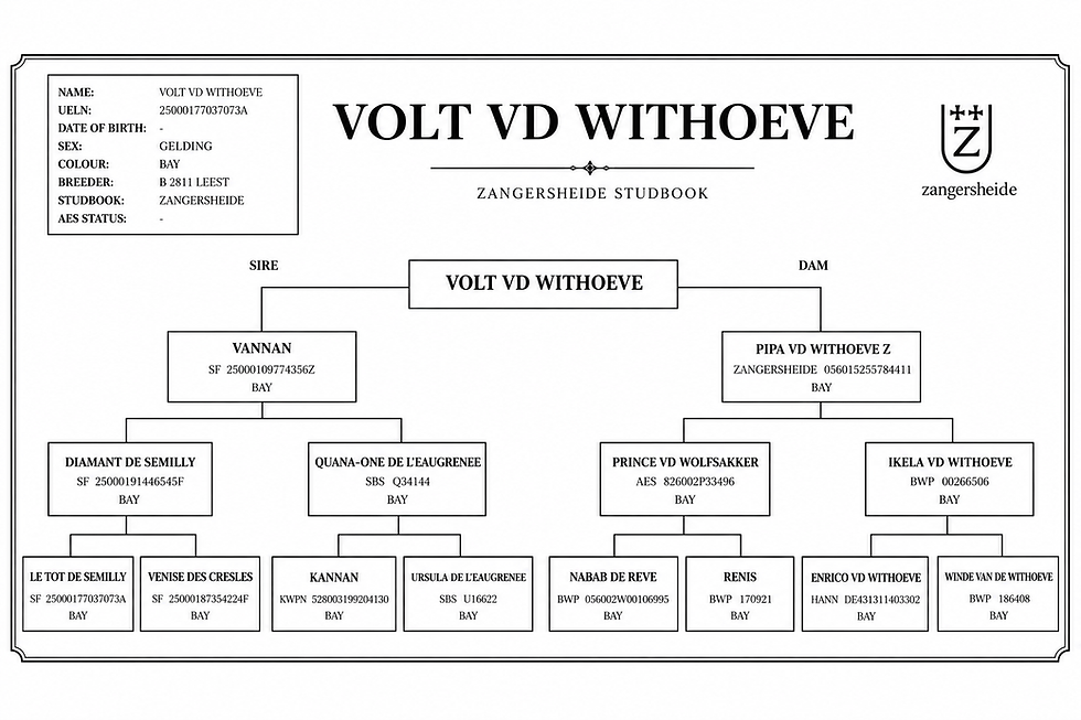 Visto Breeding .PNG