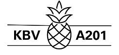 KBVA201 Logo.png