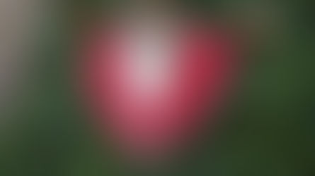 Trauer darf bunt sein – wenn Erinnerungen Farbe bekommen
