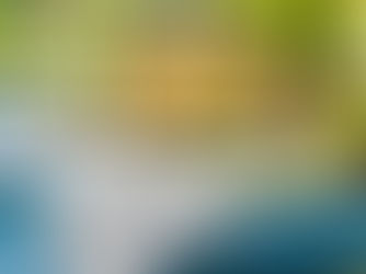 Wenn Worte wirken – Wie ich eine Freie Trauung vorbereite