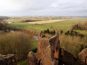 UK: Exploring the Forest of Dean 