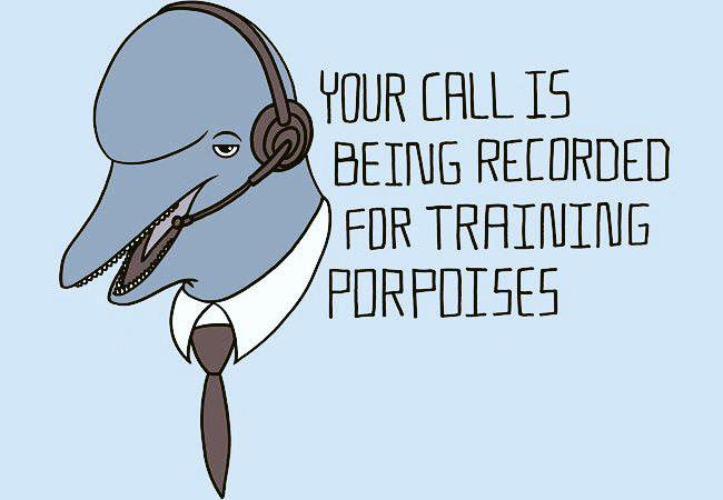 Your Call is Being Recorded for Training Porpoises Graphic



