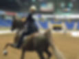 CC.TheTrot