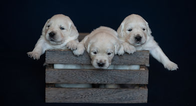 Week3 (13 of 16).jpg