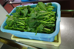 LINE_ALBUM_2023.9.19 内子小学校給食_230921_23