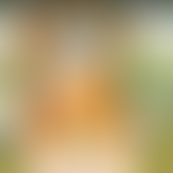 ORAÇÃO DE CONFIANÇA...