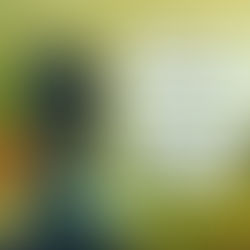 A Gratidão transforma nossas vidas...