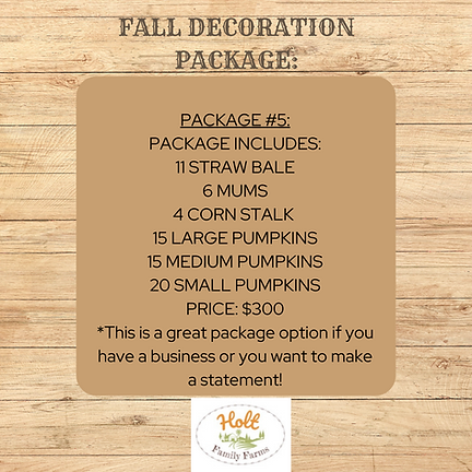 Fall Decoration Package XXL