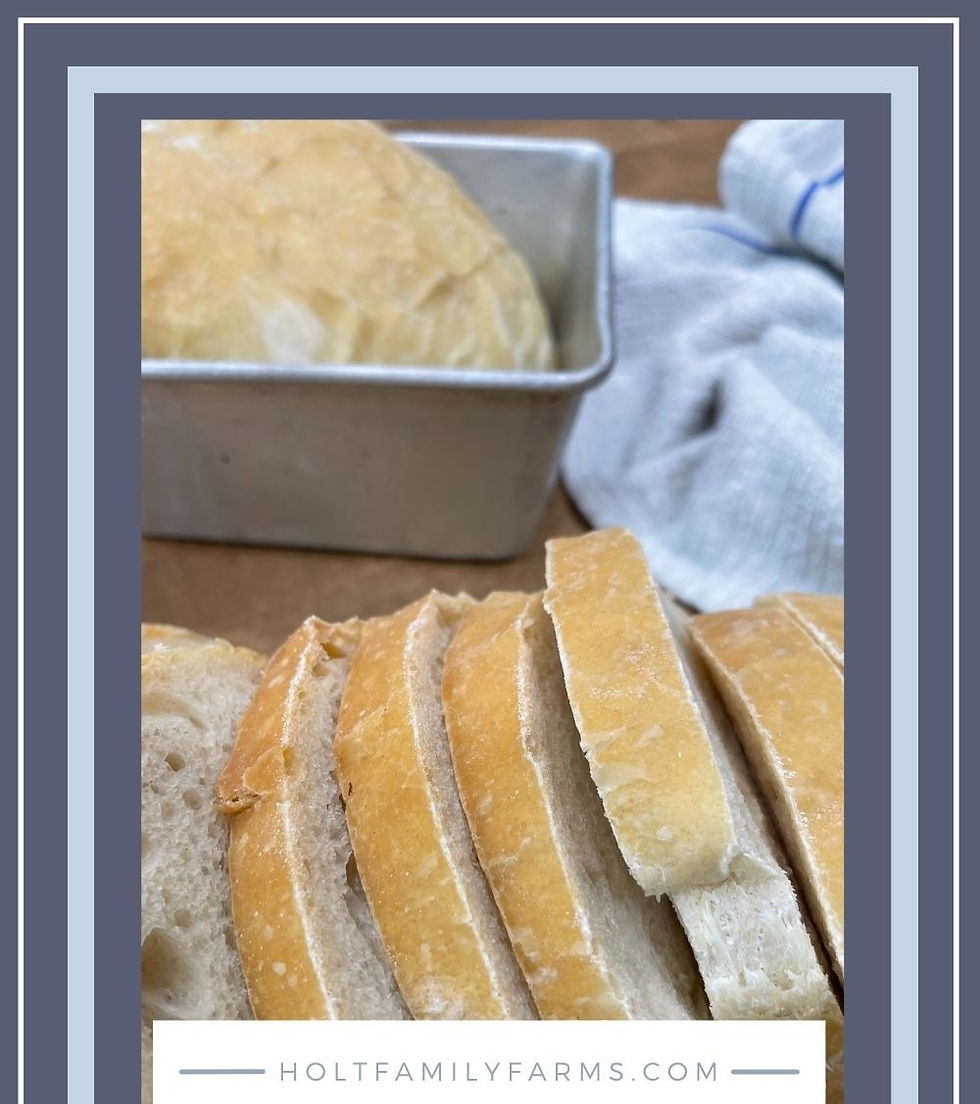 Sourdough sandwich bread recipe