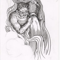 ink drawing