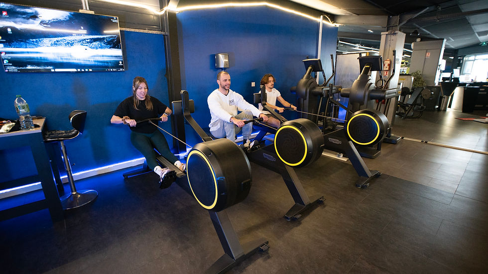 Avifit