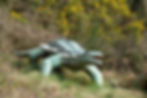 Dinosaure Parc Préhistoire de Bretagne