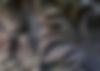 stone-texture-cracks-old-stone-background.jpg