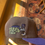 Thumbnail: Oak fitted hat 
