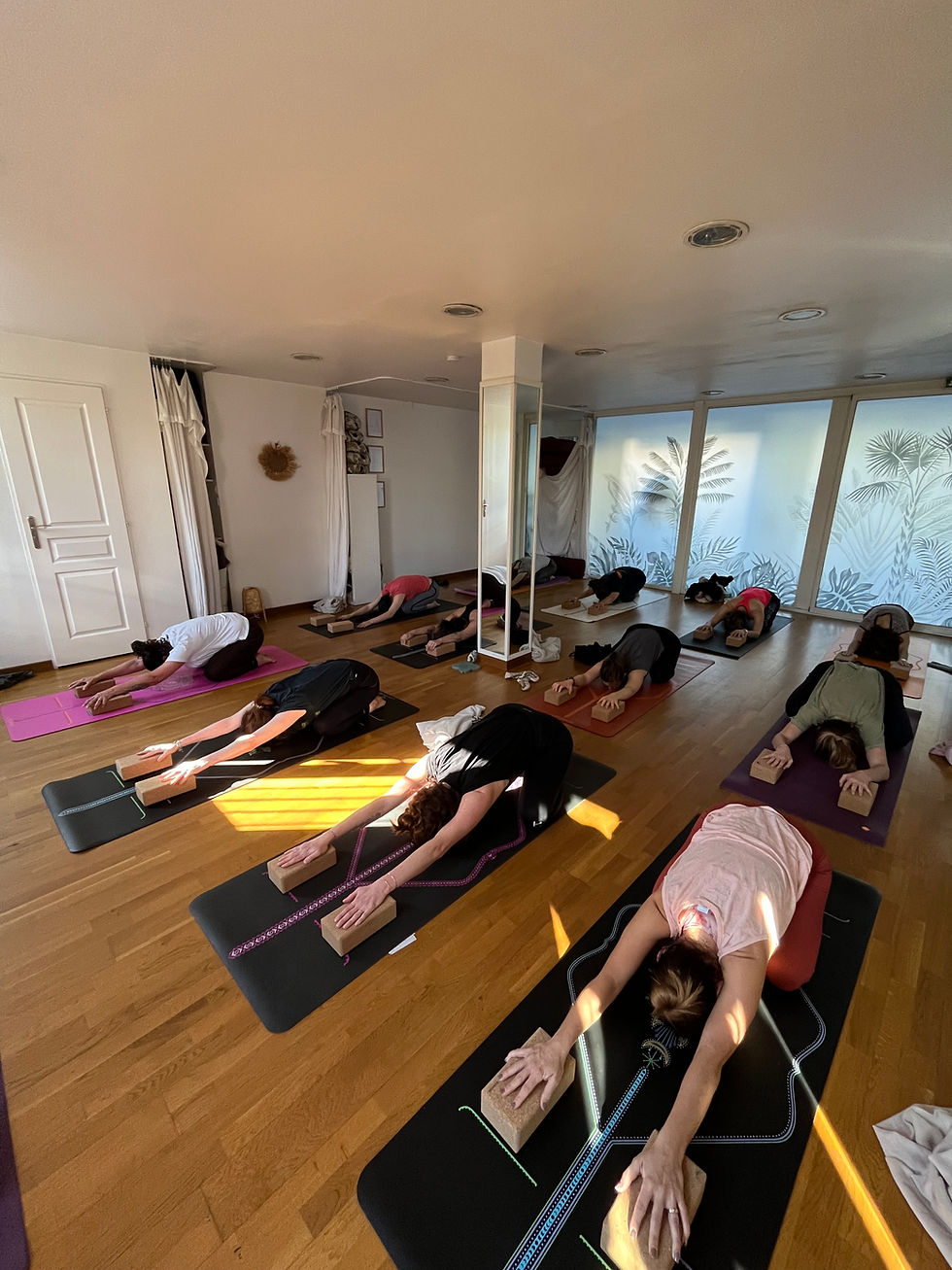 Yoga pour le dos à Marseille 12 : soulager les tensions et renforcer au Centre Eunoia