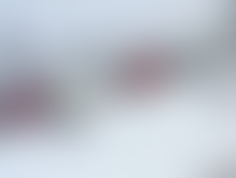 Alerta de última hora: La tormenta invernal Fern paraliza la logística del Medio Oeste. Grandes retrasos para los envíos de UPS, FedEx y 3PL.