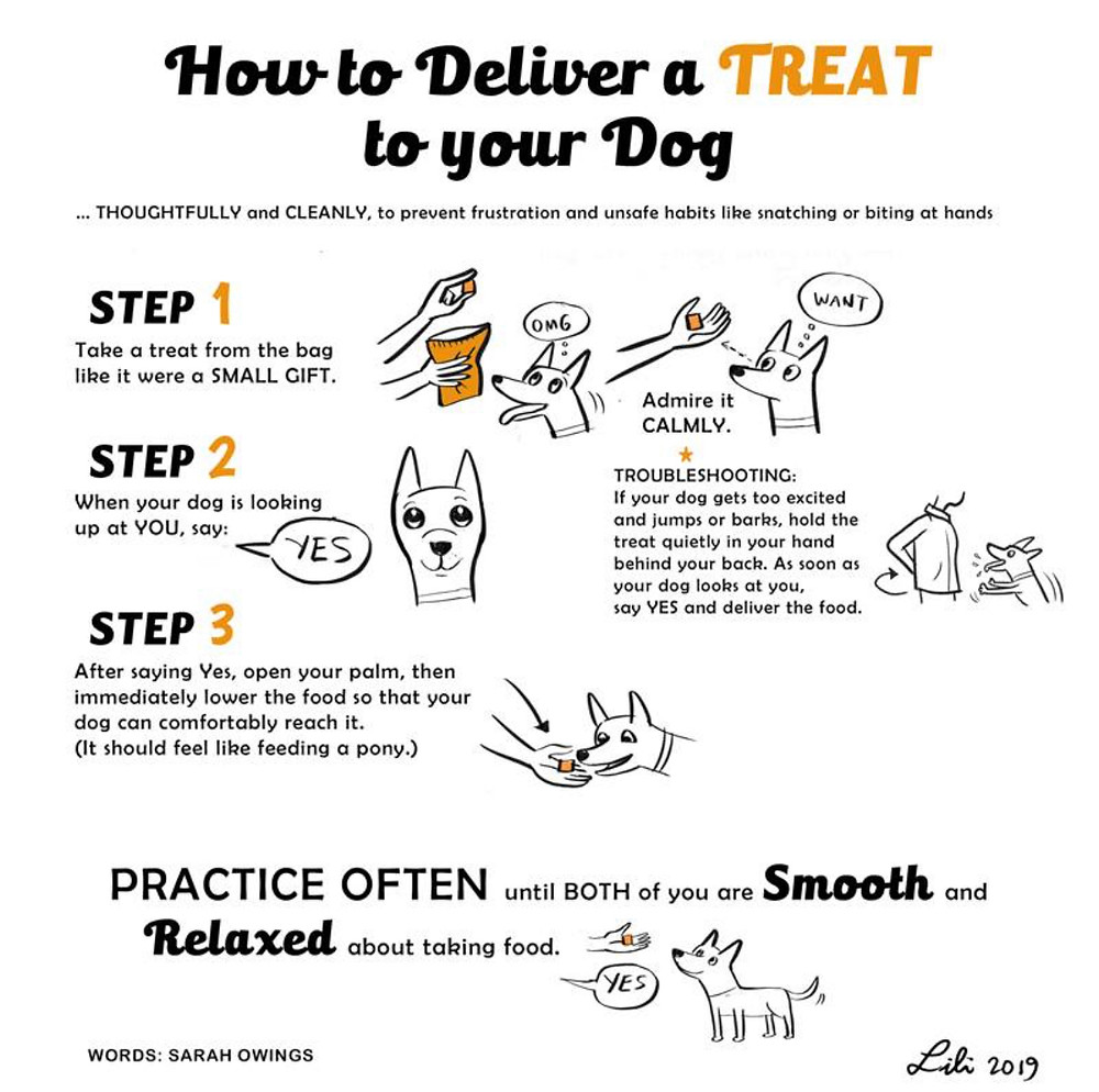 how to deliver a treat to a dog