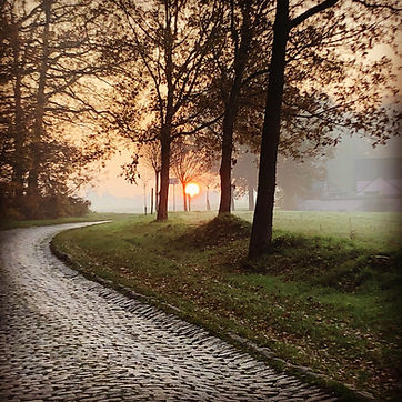Géobiologie Lever de soleil automnal 27_11_2020 rue du Chenoy Court-Saint-Etienne Mélina M