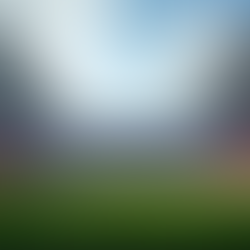 How Sporting Events Shape Atlanta's Community and Economy