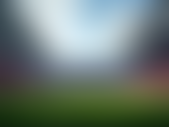 CHAPTER 1 (The intersection) // A 404 Day Essay