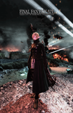 ffxiv_20210511_031920_381-1.png