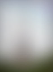 Multiple Ways to Read One Place (PARIS)