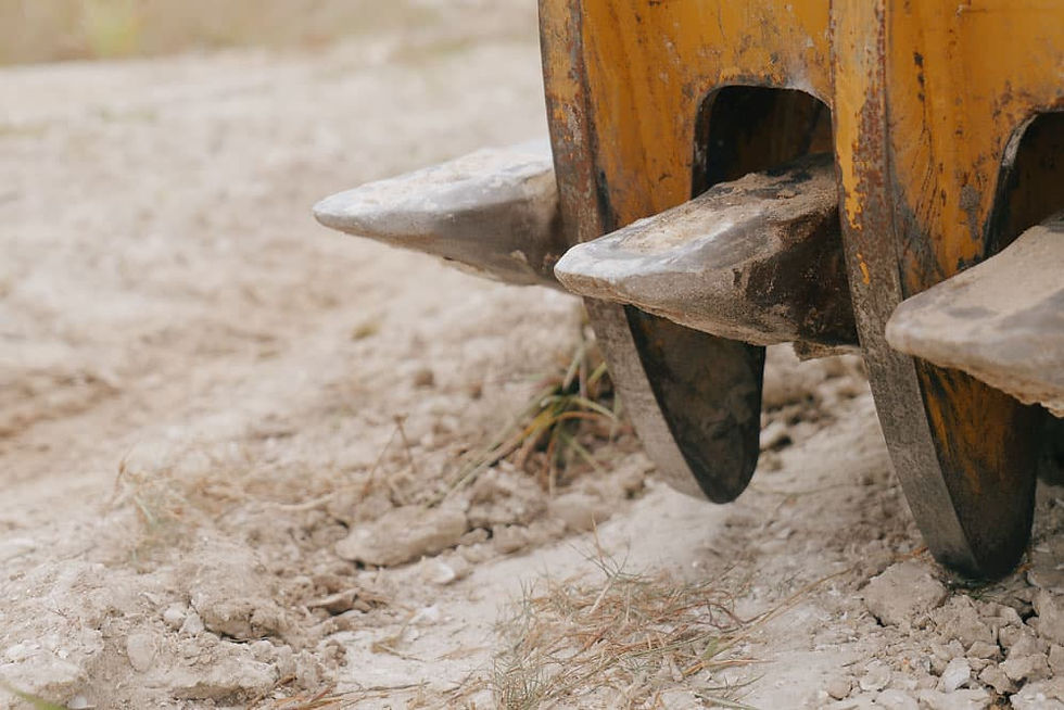 Heavy-duty excavator thumb teeth — built for gripping and lifting roots, logs, and debris during land clearing operations in Florida.