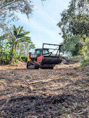 Forestry mulching site showing freshly mulched ground and soil surface after vegetation removal