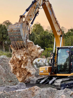 Excavator lifting large tree root during land clearing on a Florida property—part of PRIMUS Land Clearing’s expert site preparation and vegetation removal services.