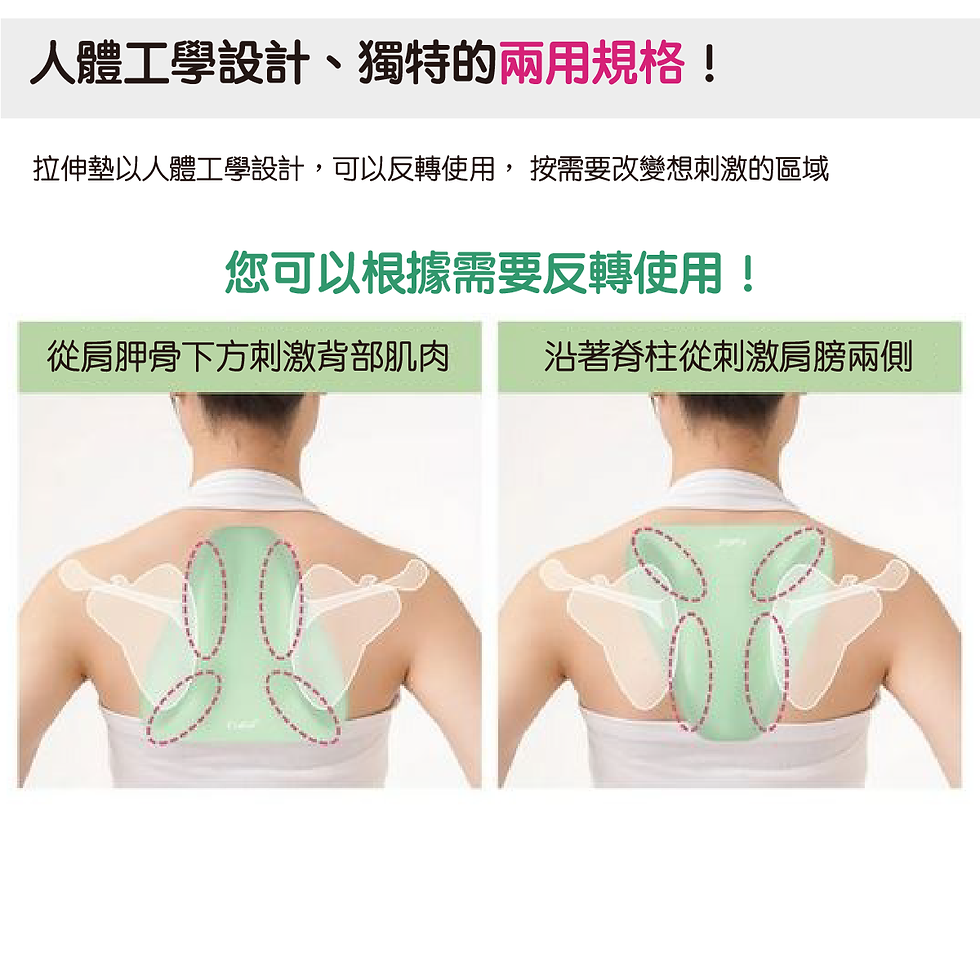 縮圖：Needs Labo Cellsh 肩胛骨拉伸墊