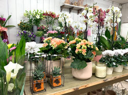 Fellner Blumen Filiale Floridsdorf