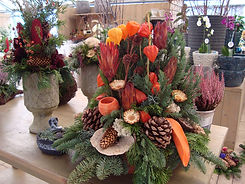 DSC01370.JPG