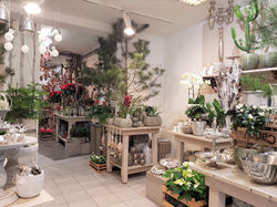 Fellner Blumen Filiale Wolkersdorf