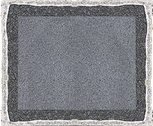 Subette sunflower frame only.gif