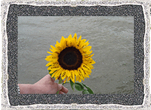 Subette thames.gif