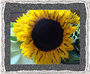 Subette sunflower.gif