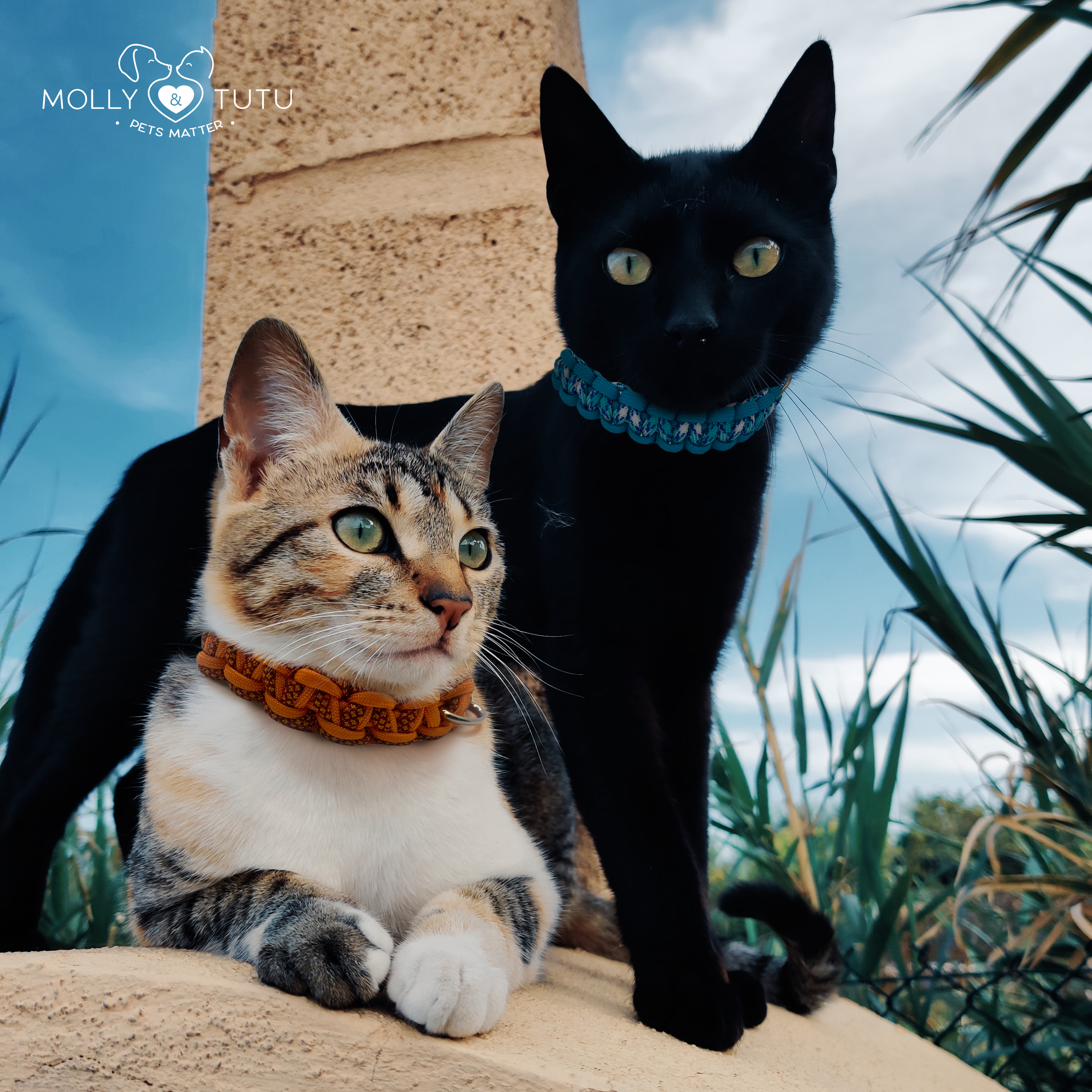 Tutu Cat Collar- Gorgeous