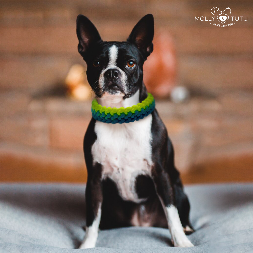 Bruna Mirabel- Beautiful