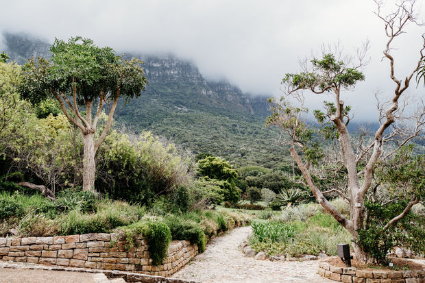 Coastal & Ocean Views
•	Scenic coastline view in Cape Town with waves and cliffs.
•	Ocean landscape along Cape Town’s shoreline.
•	Sunset over the Atlantic Ocean in Cape Town.
•	Aerial-style view of Cape Town’s beaches and coastline.
Table Mountain & Mountain Views
•	Table Mountain view under clear skies in Cape Town.
•	Mountain landscape surrounding Cape Town city.
•	View of Lion’s Head rising above Cape Town.
•	Cloud cover rolling over Table Mountain at sunset.
Bo-Kaap & City Scenery
•	Colorful Bo-Kaap houses in Cape Town.
•	Street view of Bo-Kaap neighborhood with bright facades.
•	City view of Cape Town with mountain backdrop.
Camps Bay & Chapman’s Peak
•	Scenic view of Camps Bay beach and mountains.
•	Road view along Chapman’s Peak Drive.
•	Rocky coastline along Chapman’s Peak in Cape Town.
General Scenery
•	Panoramic view of Cape Town from a viewpoint.
•	Landscape photo capturing Cape Town’s mountains and ocean.
•	Sunrise or sunset over Cape Town’s natural scenery.
