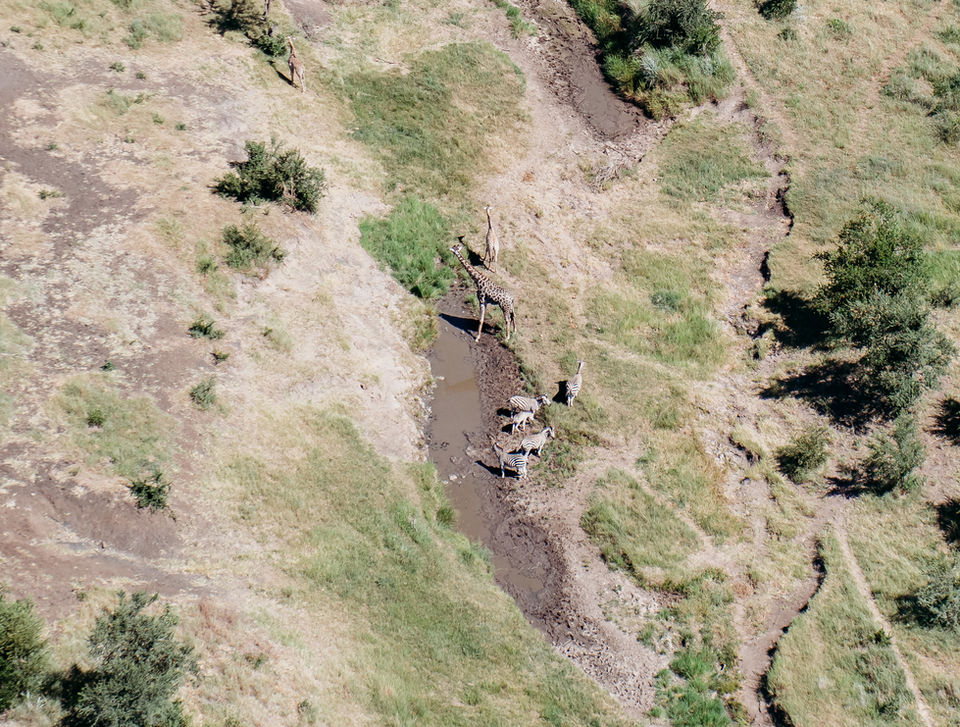 • Aerial view of Victoria Falls from a helicopter.
• Helicopter flying above Victoria Falls and the Zambezi River.
• Wide aerial shot showing the full span of Victoria Falls.
• Close-up photo of water cascading over Victoria Falls.
• Trail walkway leading to viewpoints at Victoria Falls.
• Mist rising from Victoria Falls during the daytime.
• View of the falls with water crashing into the gorge below.
• Overlook point showing the width and depth of Victoria Falls.
• A visitor is standing near the edge of Victoria Falls viewpoint.
• Thunderous water flow captured along the trail.
• The Zambezi River is flowing toward the falls.
• The picturesque scenery envelops Victoria Falls.
• Family photo at a Victoria Falls lookout point.
• A rainbow is forming in the mist above Victoria Falls.
• Pathway through the Victoria Falls rainforest area.