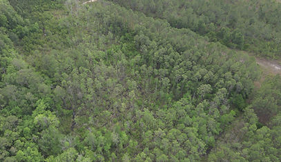 DJI_20260430163917_0026_W (1).JPG