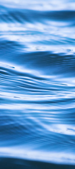Water Ripples